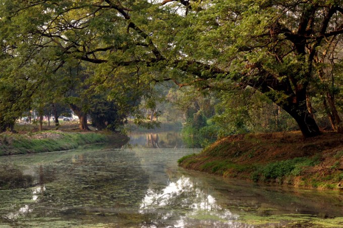 wedding photographer Eugene Oregon