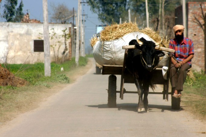 wedding photographer Eugene Oregon