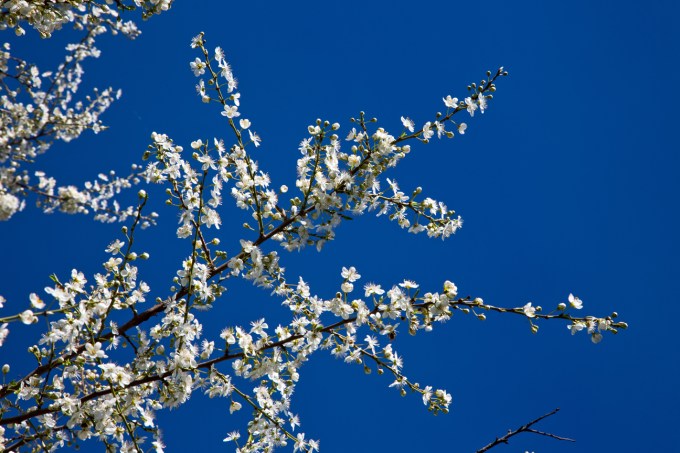 Eugene wedding photographer, Matt Emrich Photo