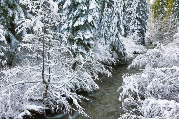 Salt Creek Falls engagement photos