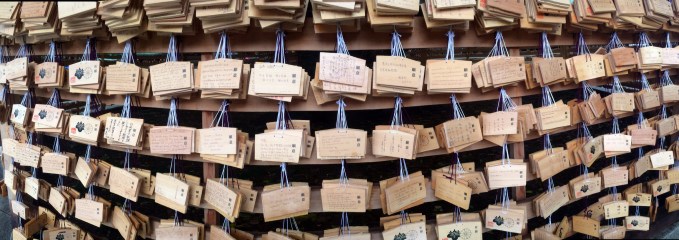 Meiji Jingu fortunes