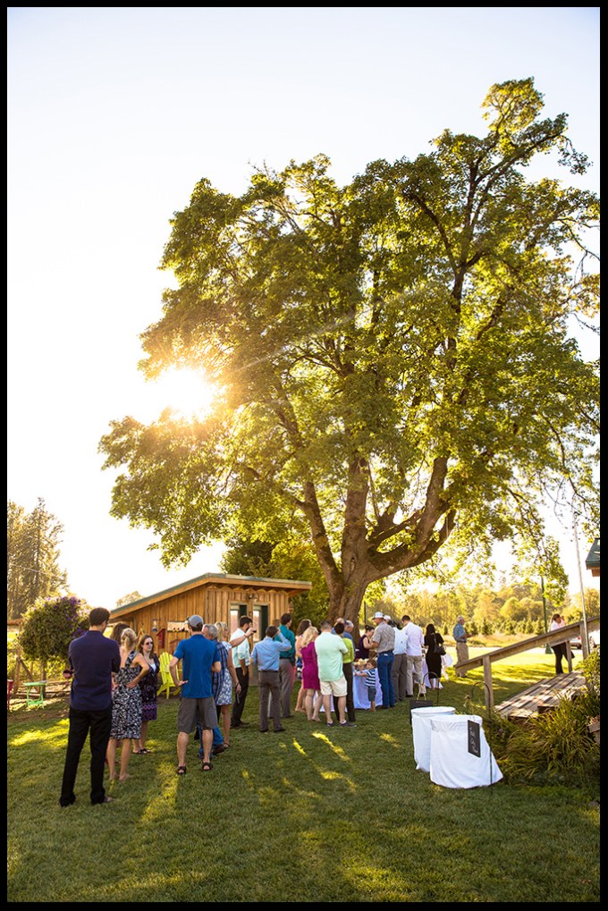 Northern Lights wedding. Eugene wedding photographer, Portland wedding photographer; © Matt Emrich Photo